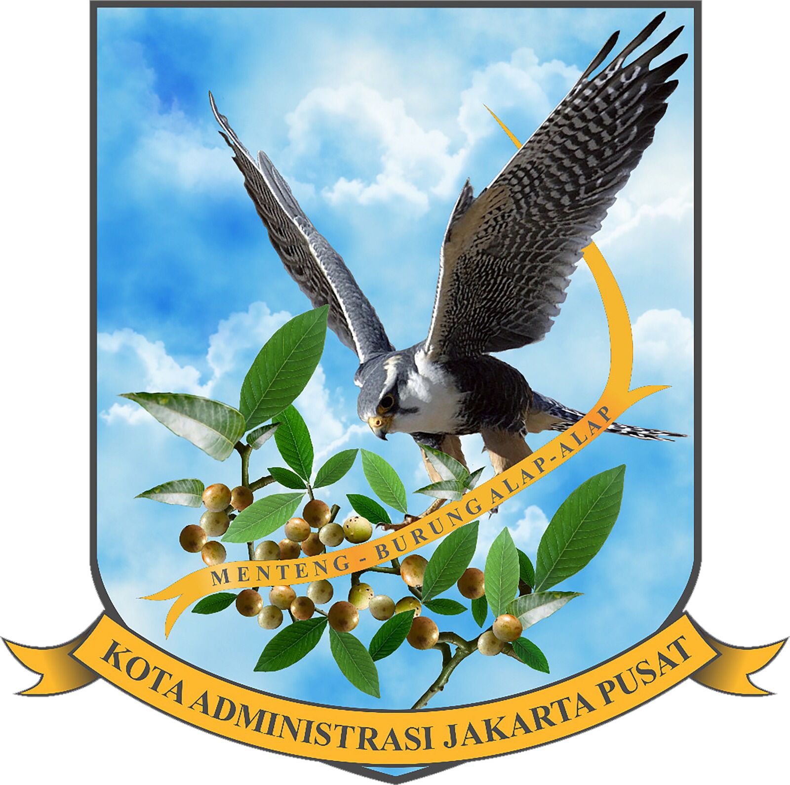 Jakarta Pusat Selection U17